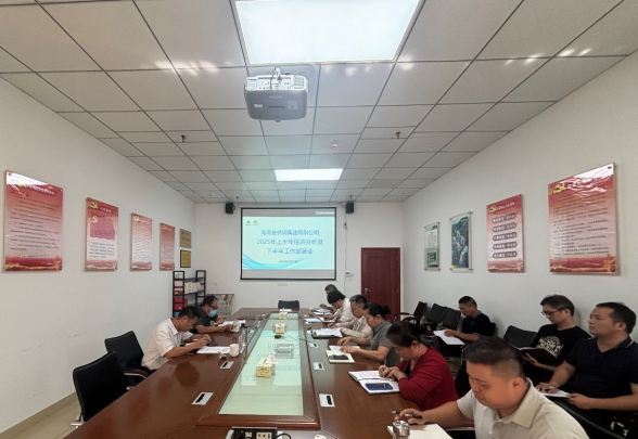 海南省供銷集團召開2025年上半年經濟分析會 部署下半年重點工作